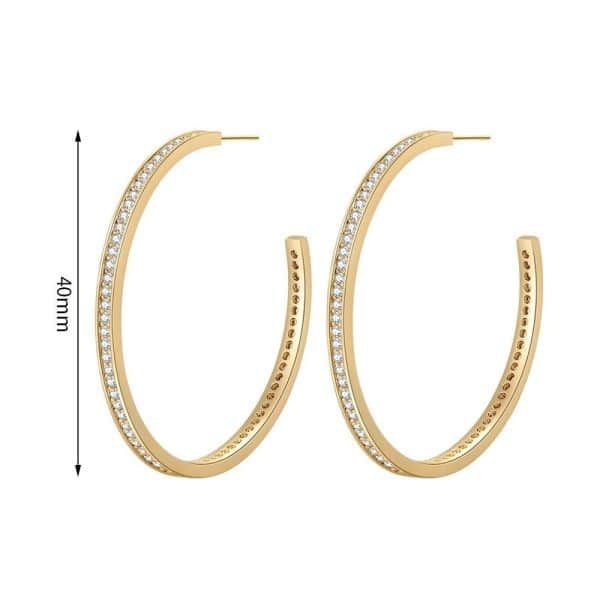Europe And The United States S925 Silver Micro-set Zircon Ear Buckle