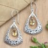 Drop-shaped Hollow Pattern Embedded Amber Earrings