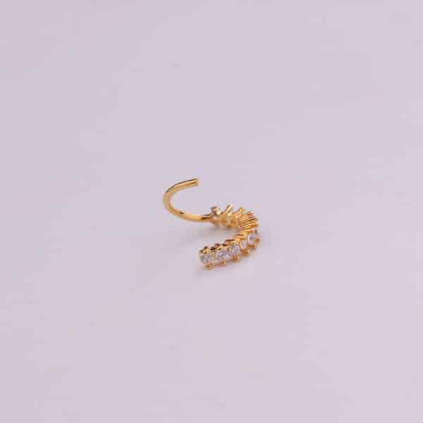 Micro-Set Zircon Nose Ring Leaf Earrings