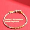 Adjustable Eight-strand Woven Colorful Guard Carrying Strap