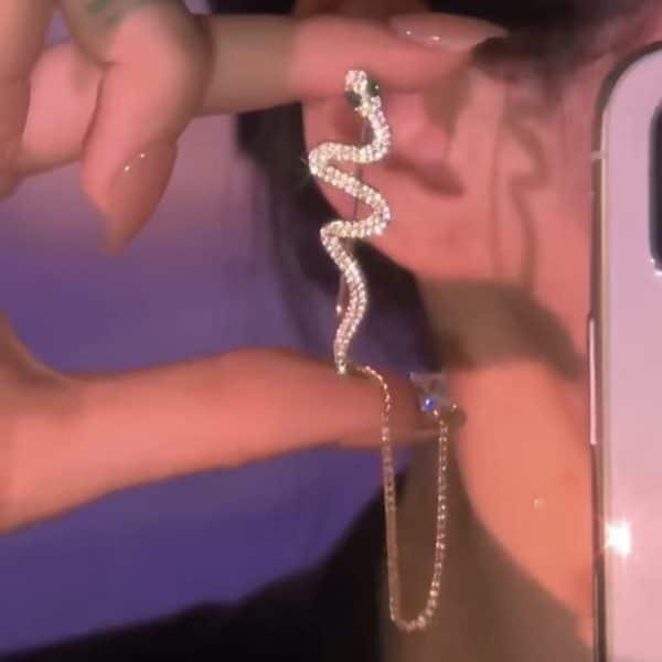 Micro-set Zircon Snake Earrings Are Exquisite And Fashionable