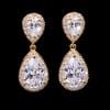 Drop zircon earrings