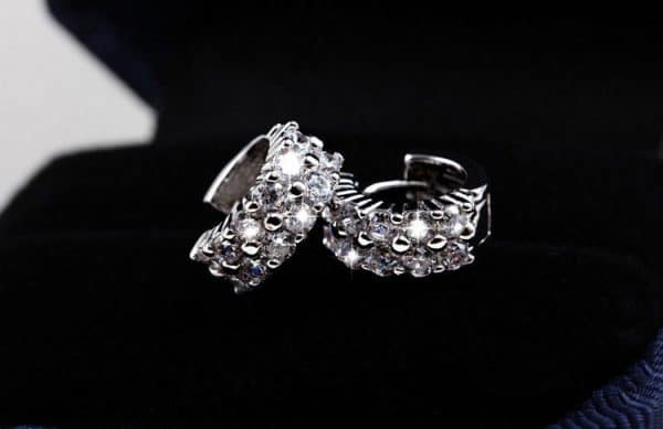 Double Row Diamond Circle Zircon Earrings