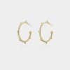 Circle C earringsRestoring ancient ways