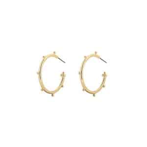 Circle C earringsRestoring ancient ways