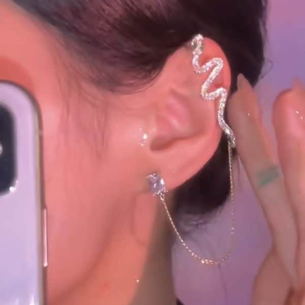 Micro-set Zircon Snake Earrings Are Exquisite And Fashionable