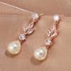Women's Long Temperament Water Drop Eardrops