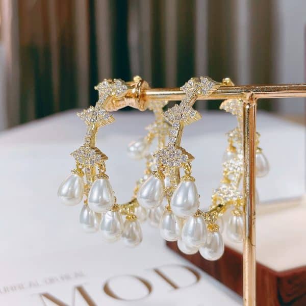 Women's Fashion Micro Set Zircon Earrings