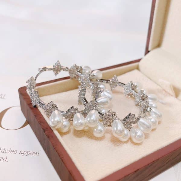 Women's Fashion Micro Set Zircon Earrings