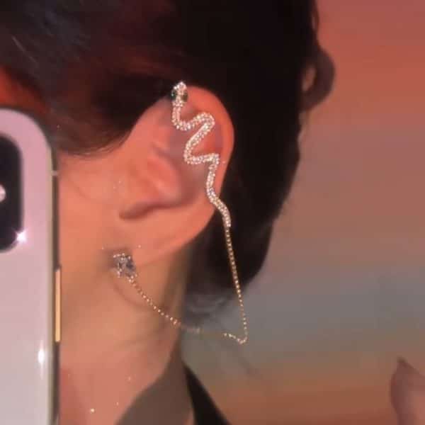 Micro-set Zircon Snake Earrings Are Exquisite And Fashionable