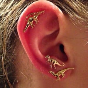 Small Animal Dinosaur Set Personalized Earrings