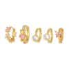 Trendy Earrings Bear Zircon Five-piece Set