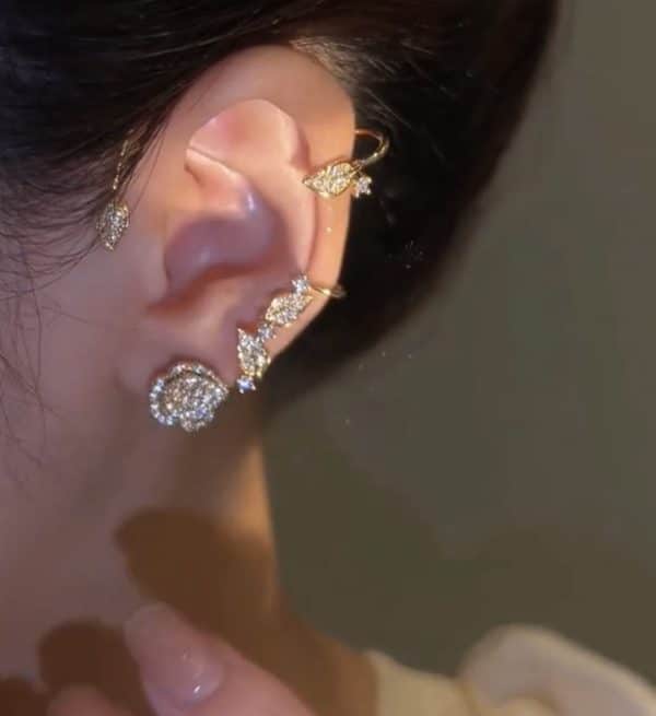 Vintage Light Luxury Rose Earrings Set With Zircon Earrings