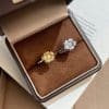Three-dimensional Plum Ring