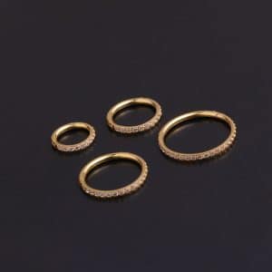 Pure Stainless Steel Split Ring Round Set Zircon Earrings