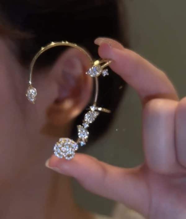 Vintage Light Luxury Rose Earrings Set With Zircon Earrings