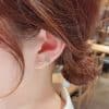 Sterling Silver Needle Zircon Rose Three-piece Set Ear Studs One Card Three Pairs
