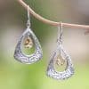 Drop-shaped Hollow Pattern Embedded Amber Earrings