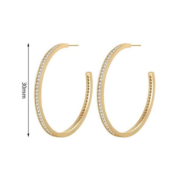 Europe And The United States S925 Silver Micro-set Zircon Ear Buckle