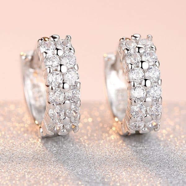 Double Row Diamond Circle Zircon Earrings