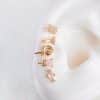 Summer Ice Cream Drink Earings Set