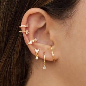 S925 Silver Needle Set Zircon Butterfly Earrings