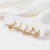 Trendy Earrings Bear Zircon Five-piece Set