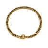 European And American Ins Affordable Luxury Fashion Temperament Clavicle Chain Ornament Stainless Steel Plated 18K Encrypted Chain Thick OT Buckle Necklace