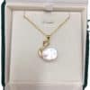 Freshwater Pearl Baroque Special-shaped Beads Swan Pearl Necklace