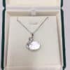Freshwater Pearl Baroque Special-shaped Beads Swan Pearl Necklace