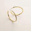 Europe And The United States S925 Silver Micro-set Zircon Ear Buckle