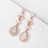 Elegant Long Style Drop AAA Zircon Earrings
