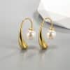Premium Niche Design Unique Drop Pearl Ear Hooks