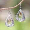Drop-shaped Hollow Pattern Embedded Amber Earrings