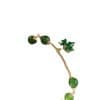 Women's New Chinese Zircon Maple Leaf Pendant Adjustable