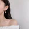 Artistic Temperament Water Drop Zircon Earrings
