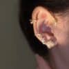 Vintage Light Luxury Rose Earrings Set With Zircon Earrings