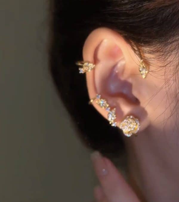 Vintage Light Luxury Rose Earrings Set With Zircon Earrings