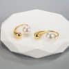 Premium Niche Design Unique Drop Pearl Ear Hooks