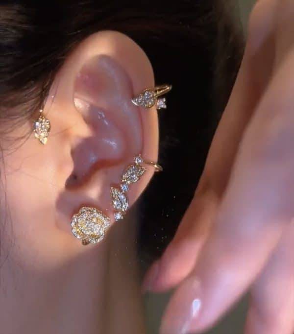 Vintage Light Luxury Rose Earrings Set With Zircon Earrings