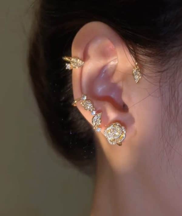Vintage Light Luxury Rose Earrings Set With Zircon Earrings