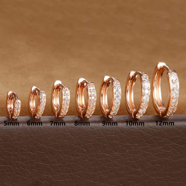 Trendy Circle Zircon Perforated Stud Earrings
