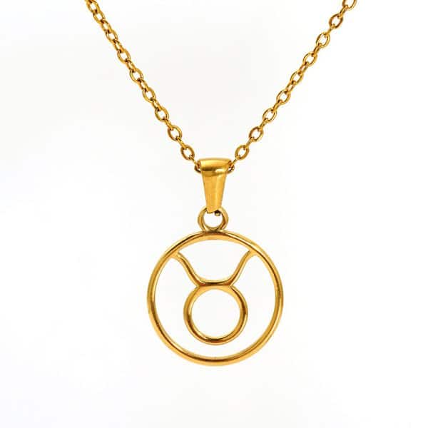 Fashion Titanium Steel Necklace Twelve Constellation